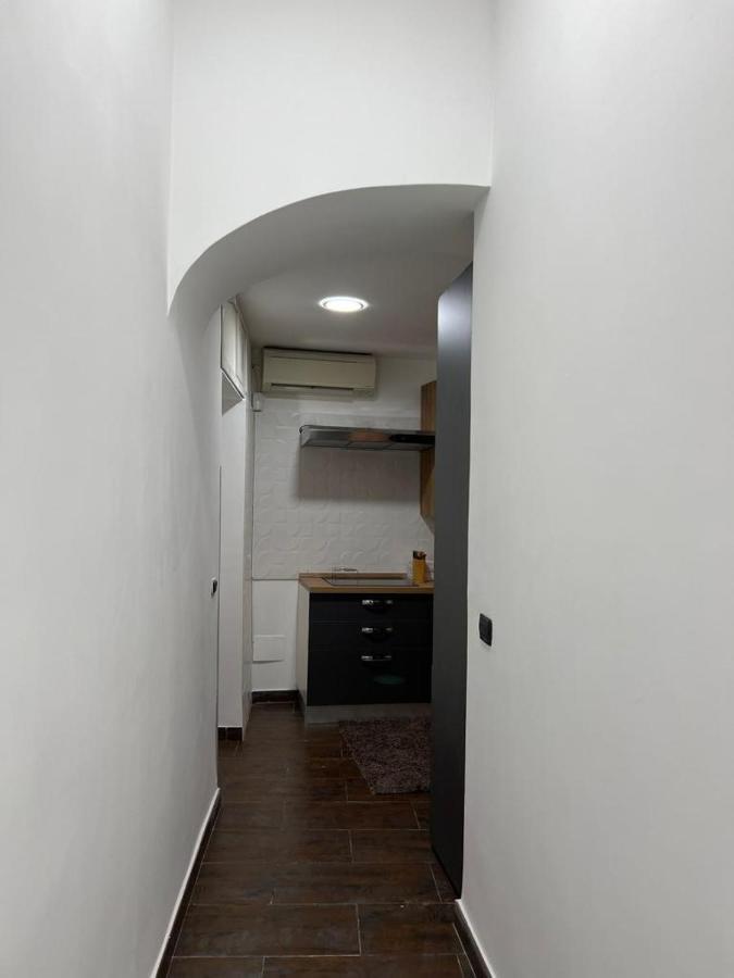 La Rosa Di Roma Colosseo Apartment Bagian luar foto